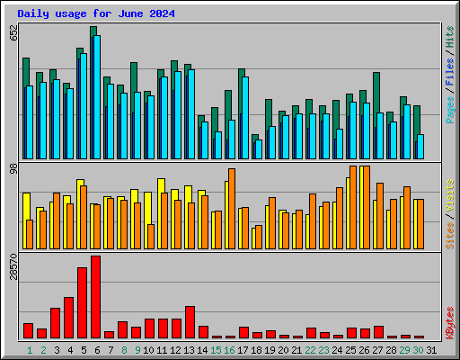 Daily usage for June 2024