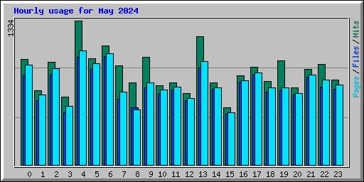 Hourly usage for May 2024