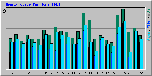 Hourly usage for June 2024