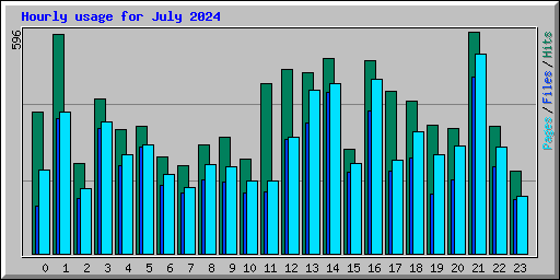 Hourly usage for July 2024