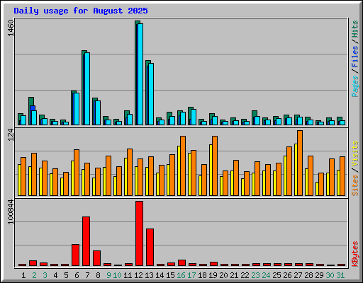 Daily usage for August 2025