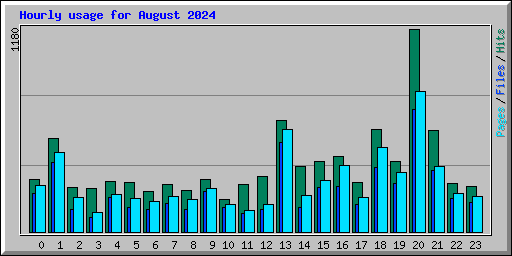 Hourly usage for August 2024