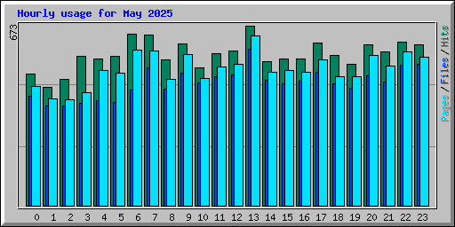Hourly usage for May 2025