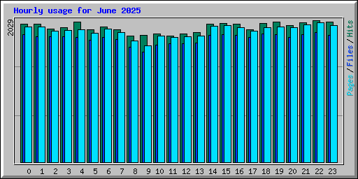 Hourly usage for June 2025