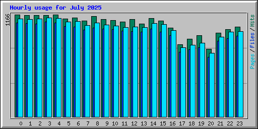 Hourly usage for July 2025