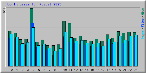 Hourly usage for August 2025