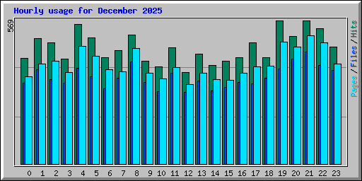 Hourly usage for December 2025