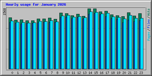 Hourly usage for January 2026