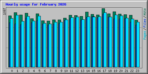 Hourly usage for February 2026