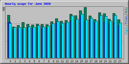 Hourly usage for June 2026